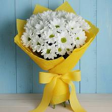 Букет цветов из:  Хризантемы в Троицко-Печорске