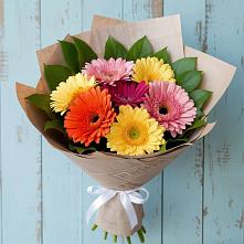 Букет цветов из:  Герберы в Троицко-Печорске