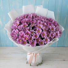 Букет цветов из:  Хризантемы #REPLACE_PRED# Троицко-Печорске