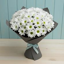 Букет цветов из:  Хризантемы в Троицко-Печорске