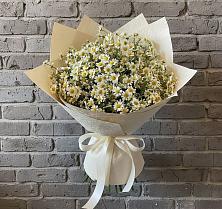Букет цветов из:  Ромашки #REPLACE_PRED# Троицко-Печорске