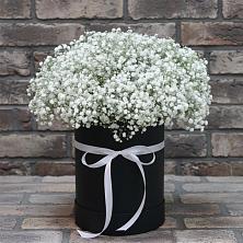 Цветочная композиция из Гипсофила в шляпной коробке в Троицко-Печорске