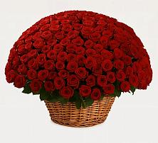 Премиум букет из: Розы в Троицко-Печорске